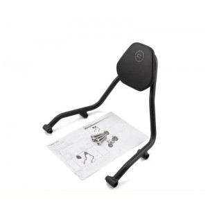 CFMOTO 450CLC Orjinal Sissy Bar B
