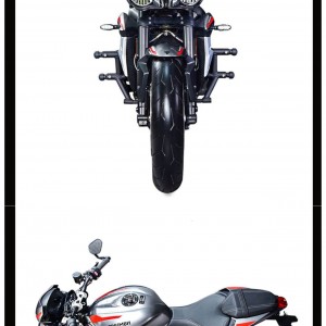 TRİUMPH Street Triple 765R/765RS Koruma Demiri