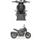 TRİUMPH Trident 660 Koruma Demiri